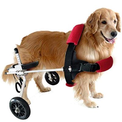 mthdd haustier tasche hunderollstuhl scooter behinderte hund untersttzte